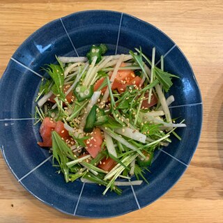 水菜と大根とおくらの和風さっぱりサラダ